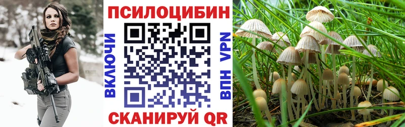 где купить наркоту  Тырныауз  Галлюциногенные грибы MAGIC MUSHROOMS 
